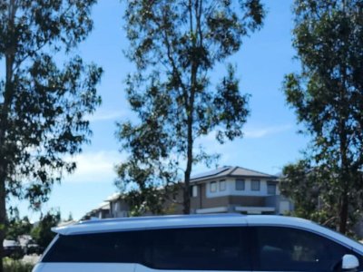 2019 Kia Carnival Platinum Petrol Automatic