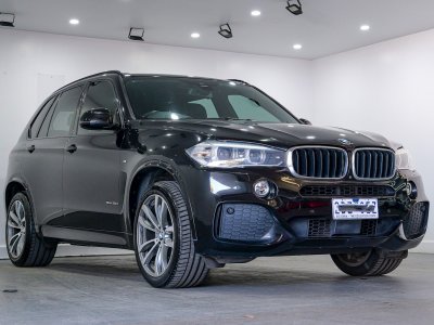 2018 Bmw X5 Sdrive25d